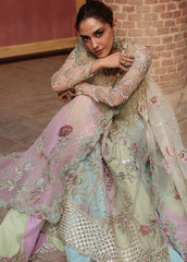 CRIMSON RANGOLI