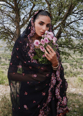 Hussain rehar Kashmala