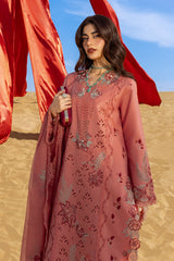 RANG RASIYA | Amani
