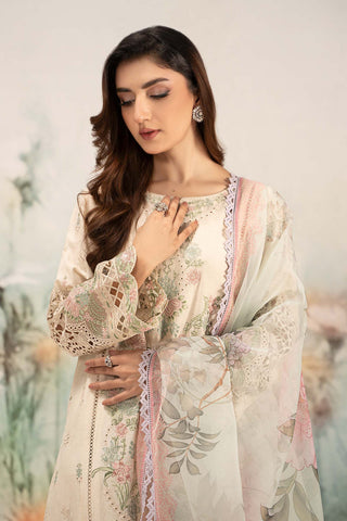 3 Piece Embroidered Lawn Suit | DW-EF25-47