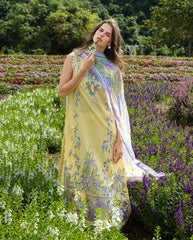 MUSHQ | Sunlit Meadow