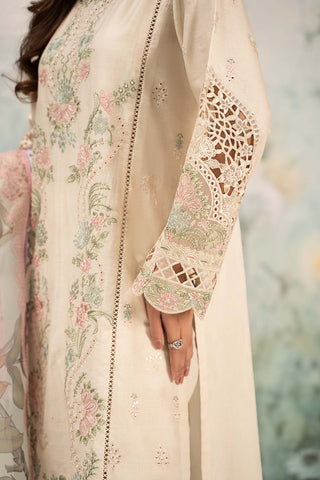 3 Piece Embroidered Lawn Suit | DW-EF25-47