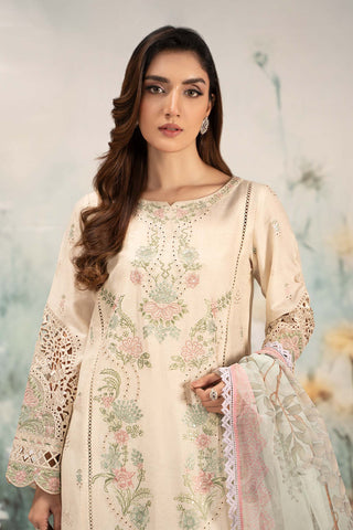 3 Piece Embroidered Lawn Suit | DW-EF25-47