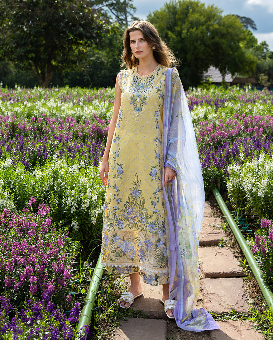 MUSHQ | Sunlit Meadow