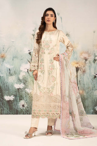 3 Piece Embroidered Lawn Suit | DW-EF25-47