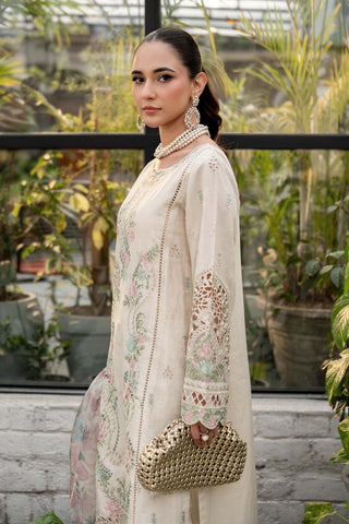 3 Piece Embroidered Lawn Suit | DW-EF25-47