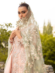 Shahnoor