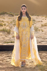 Rang Rasiya | Hoorain