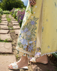 MUSHQ | Sunlit Meadow