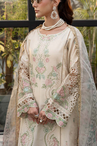 3 Piece Embroidered Lawn Suit | DW-EF25-47