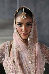 AFROZESH | Sofia