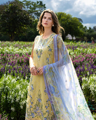 MUSHQ | Sunlit Meadow